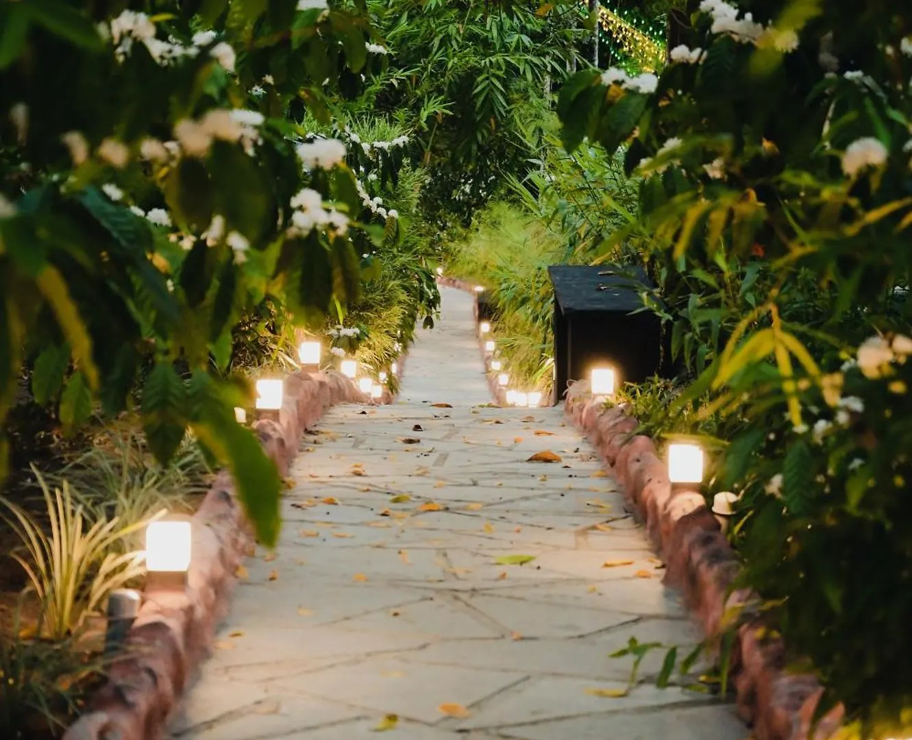 Cascara Coffee Cottage Kalpetta Resort