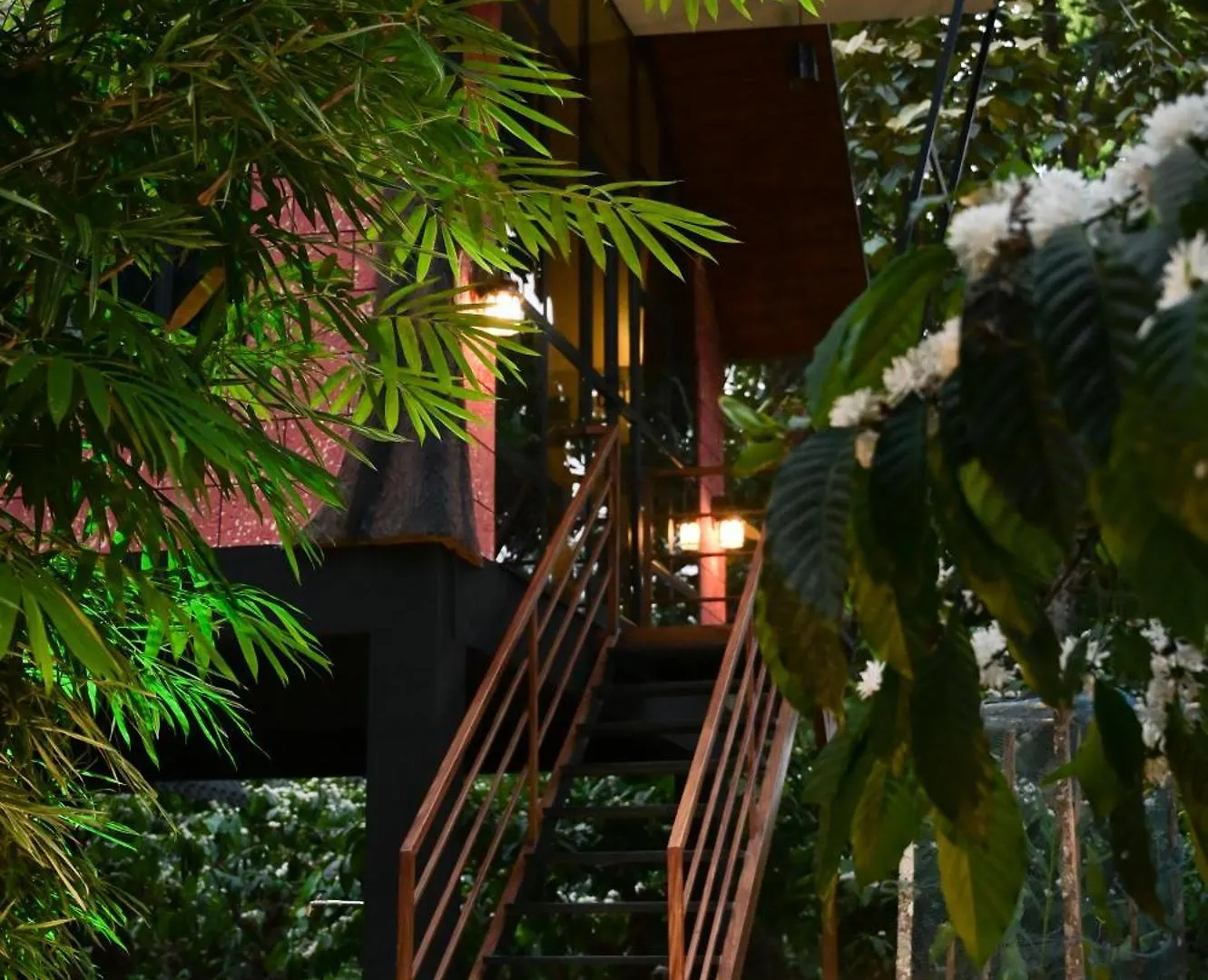 Resort Cascara Coffee Cottage Kalpetta India