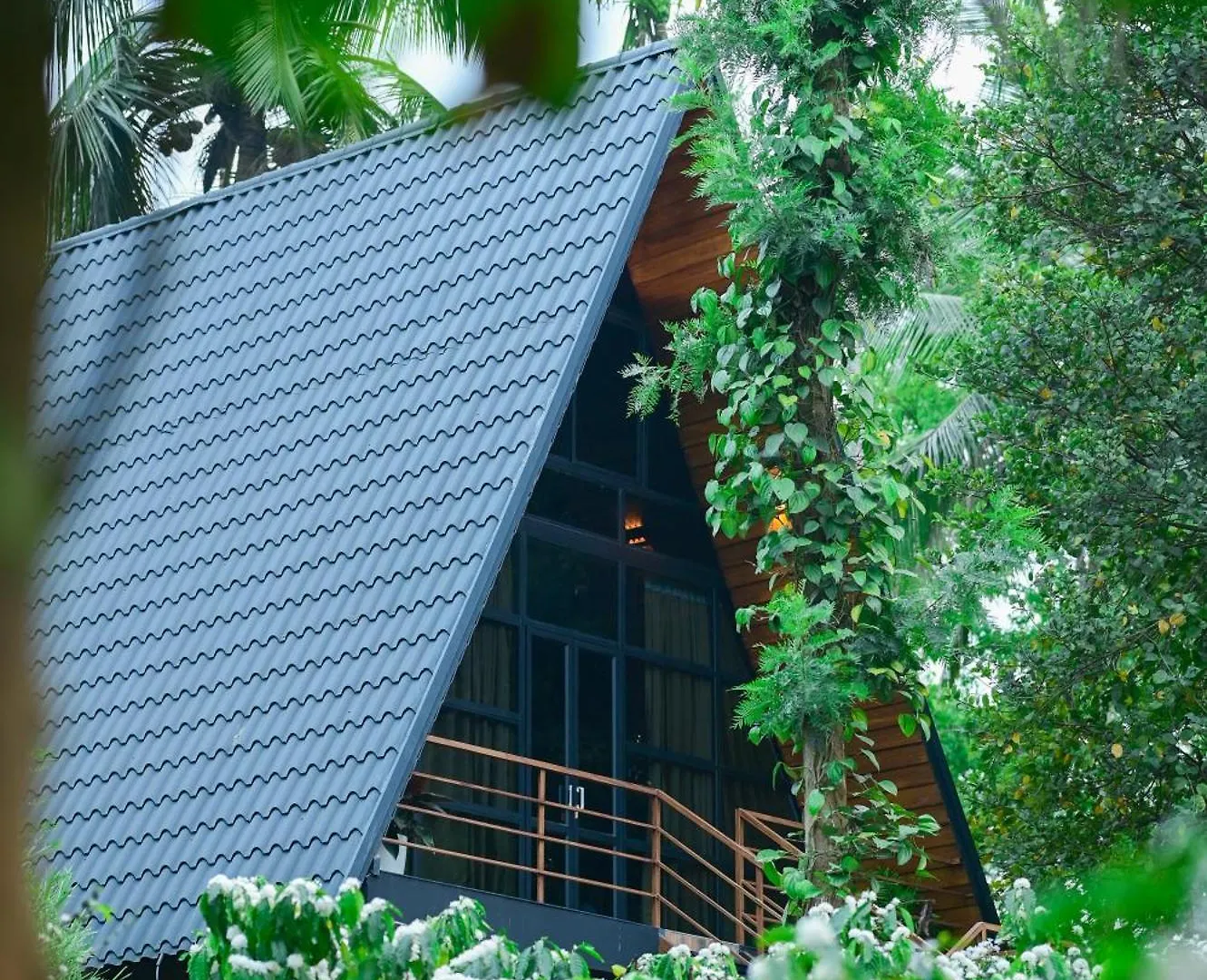 Cascara Coffee Cottage Kalpetta