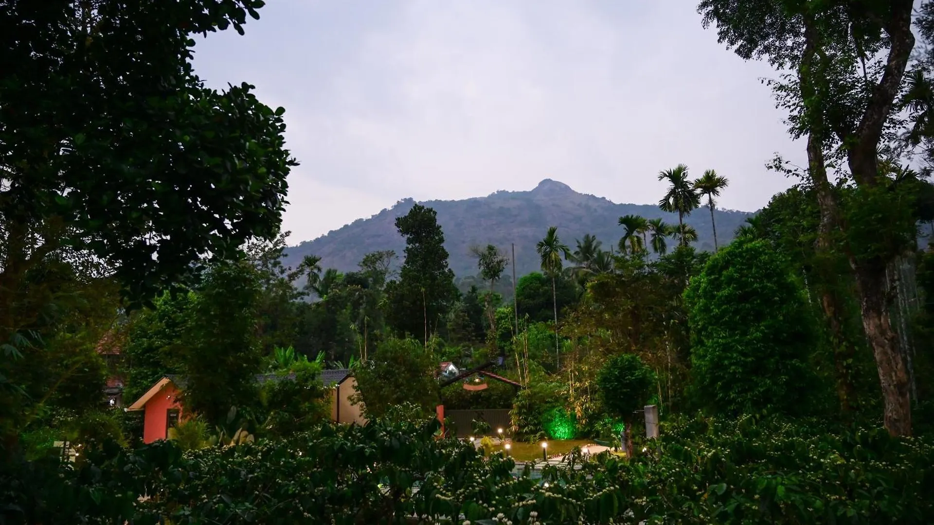 Cascara Coffee Cottage Kalpetta Resort