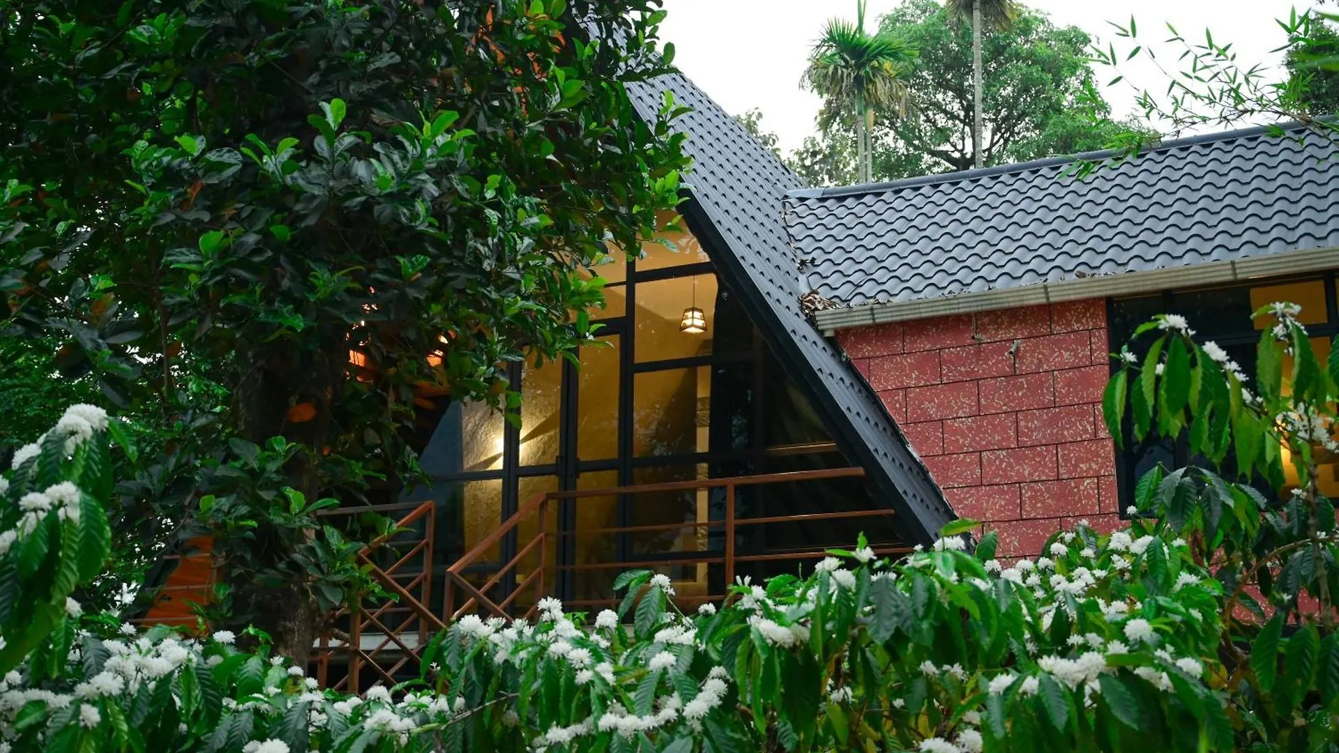 Resort Cascara Coffee Cottage Kalpetta India