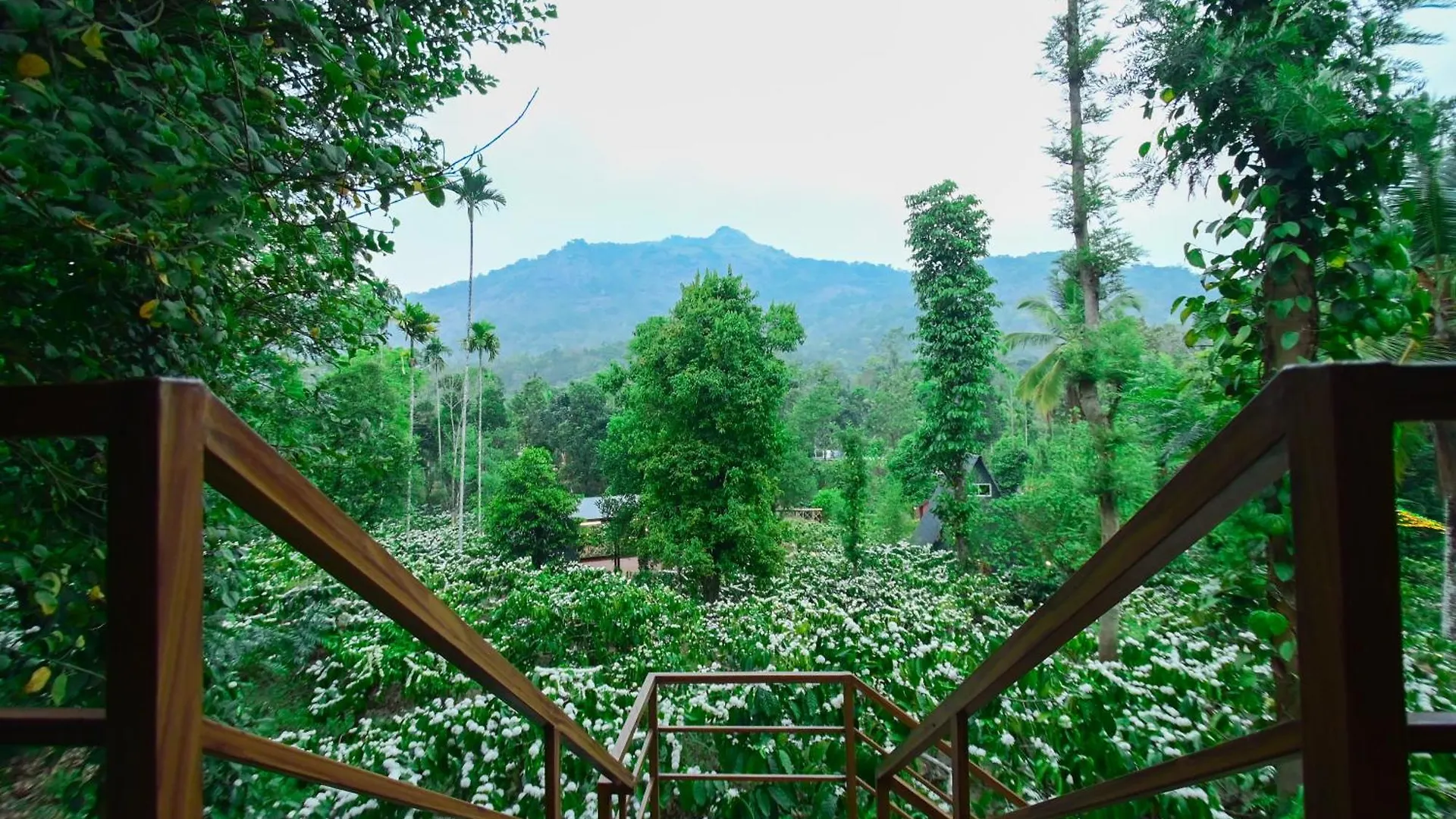 Resort Cascara Coffee Cottage Kalpetta