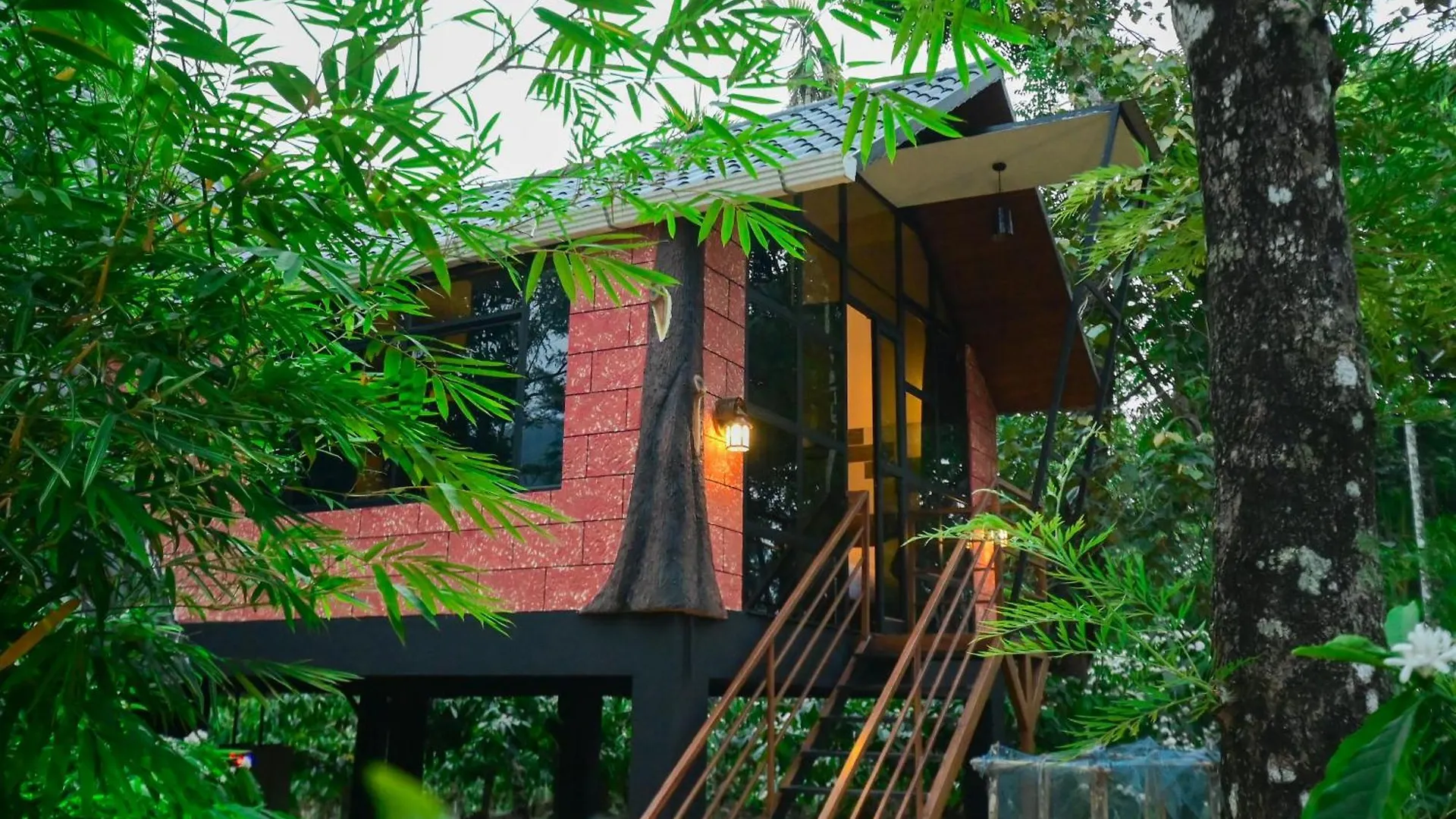 Cascara Coffee Cottage Kalpetta Resort