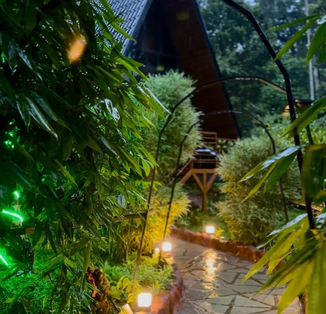 Cascara Coffee Cottage Kalpetta 0*,