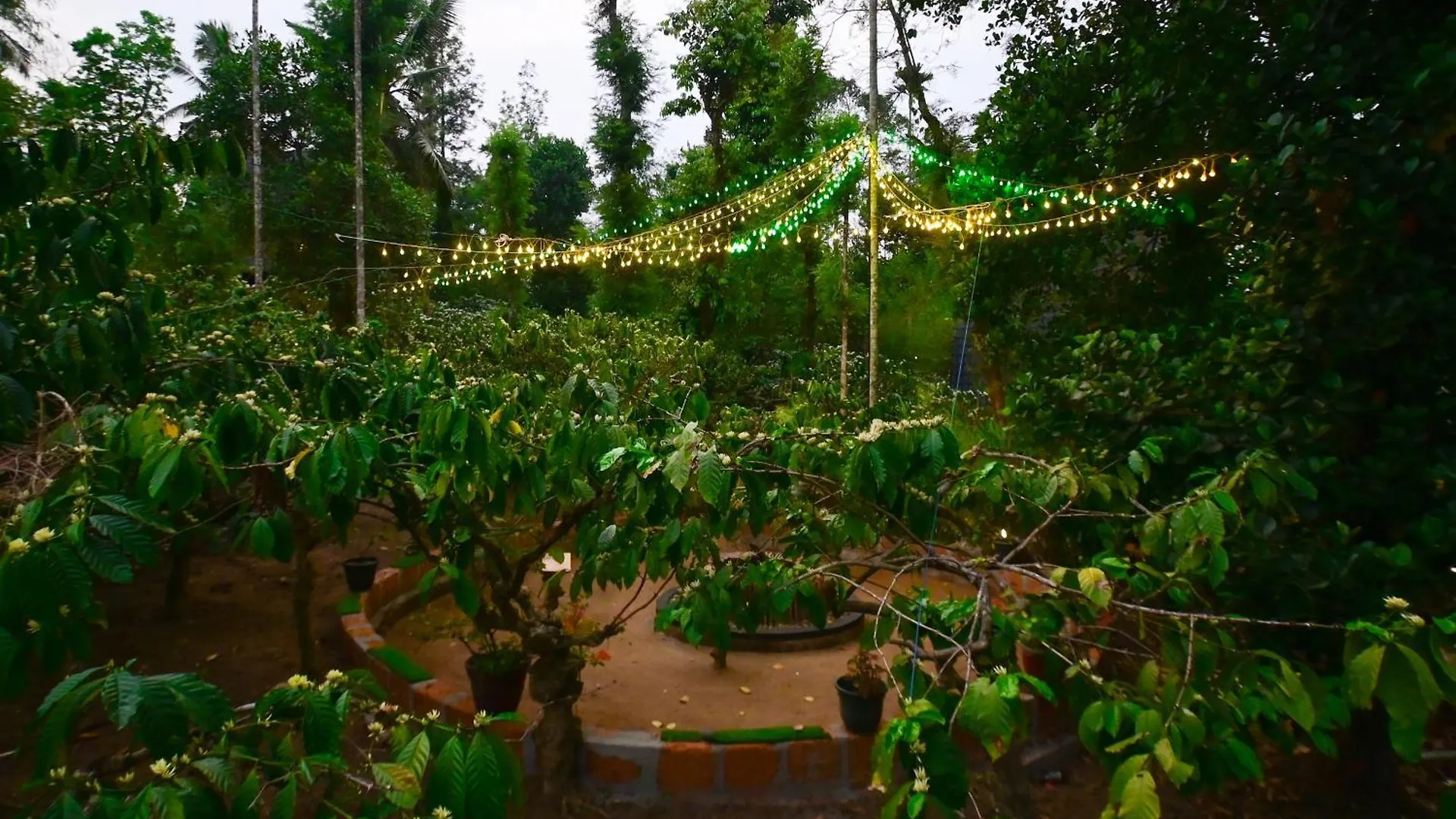 Cascara Coffee Cottage Kalpetta 0*,