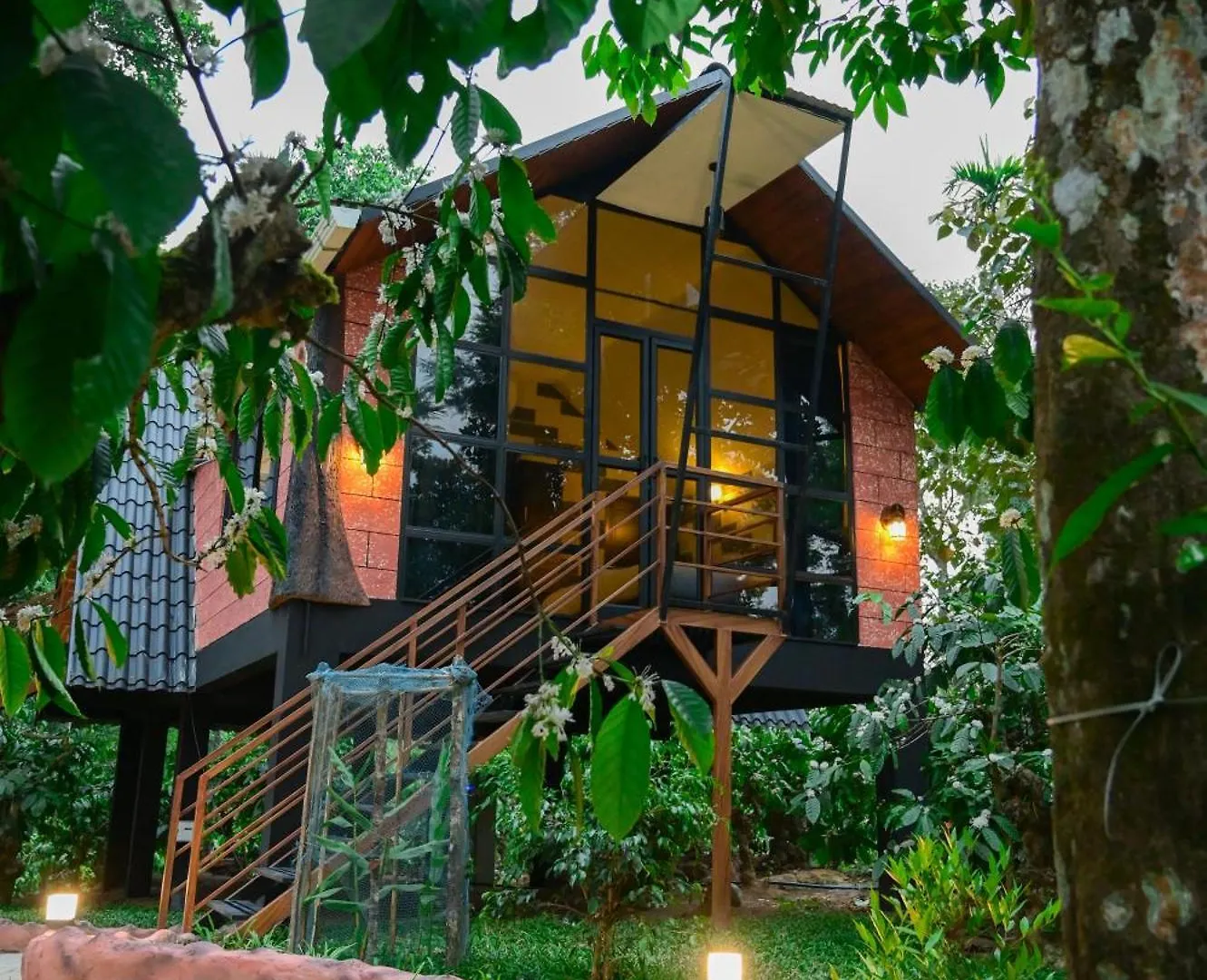 Cascara Coffee Cottage Kalpetta Resort