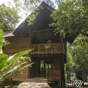 Uravu Bamboo Grove A Wandertrails Showcase Kalpetta