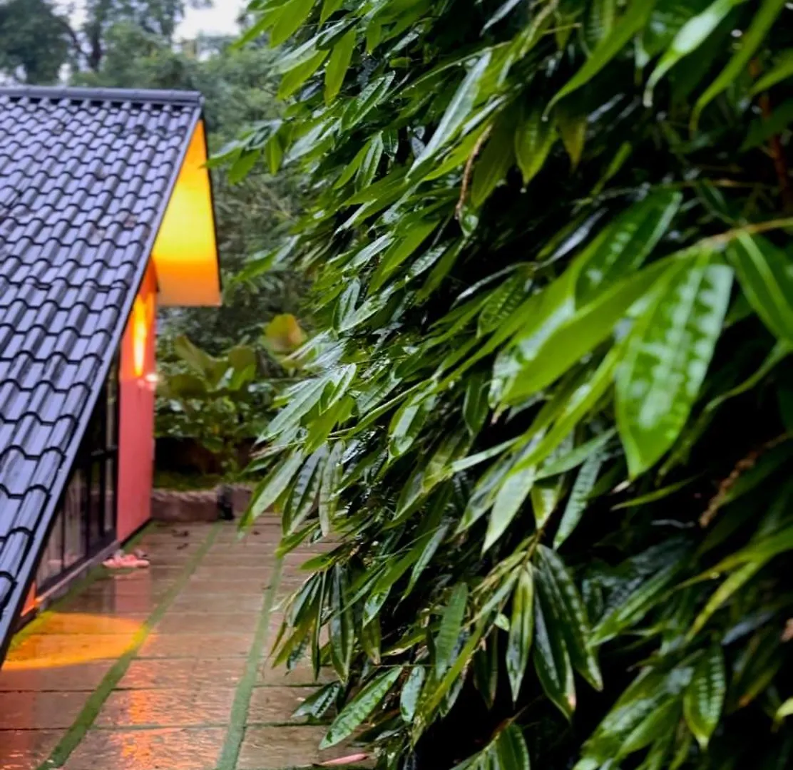 Cascara Coffee Cottage Kalpetta Resort
