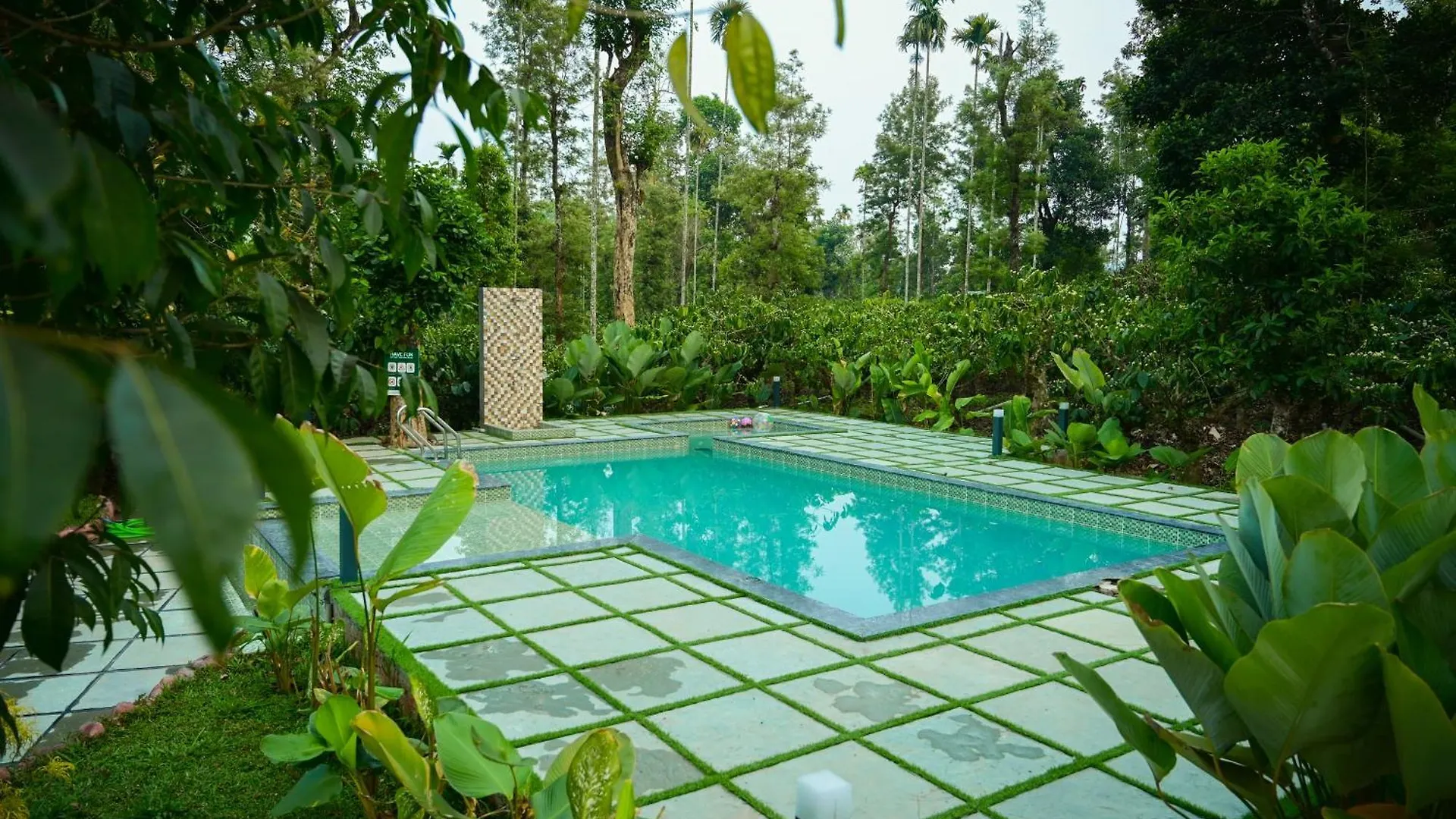 Cascara Coffee Cottage Kalpetta Resort